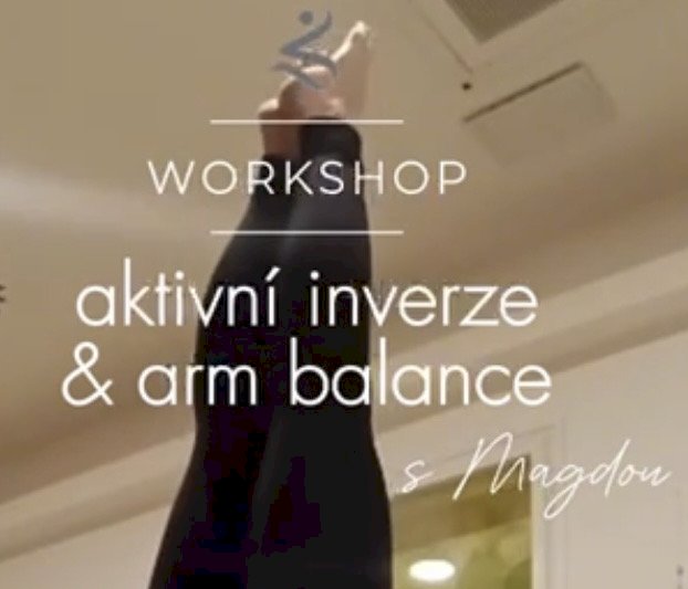 WORKSHOP 🤸‍♂️